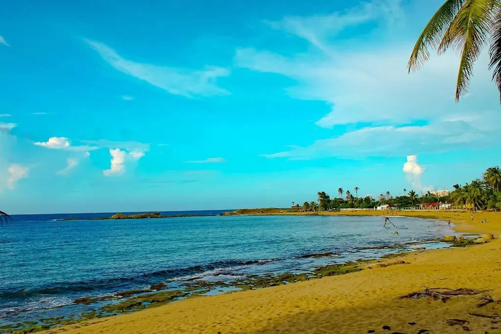 Sea View Wonder - Playa Jobos 1 Apartment Isabela Puerto Rico