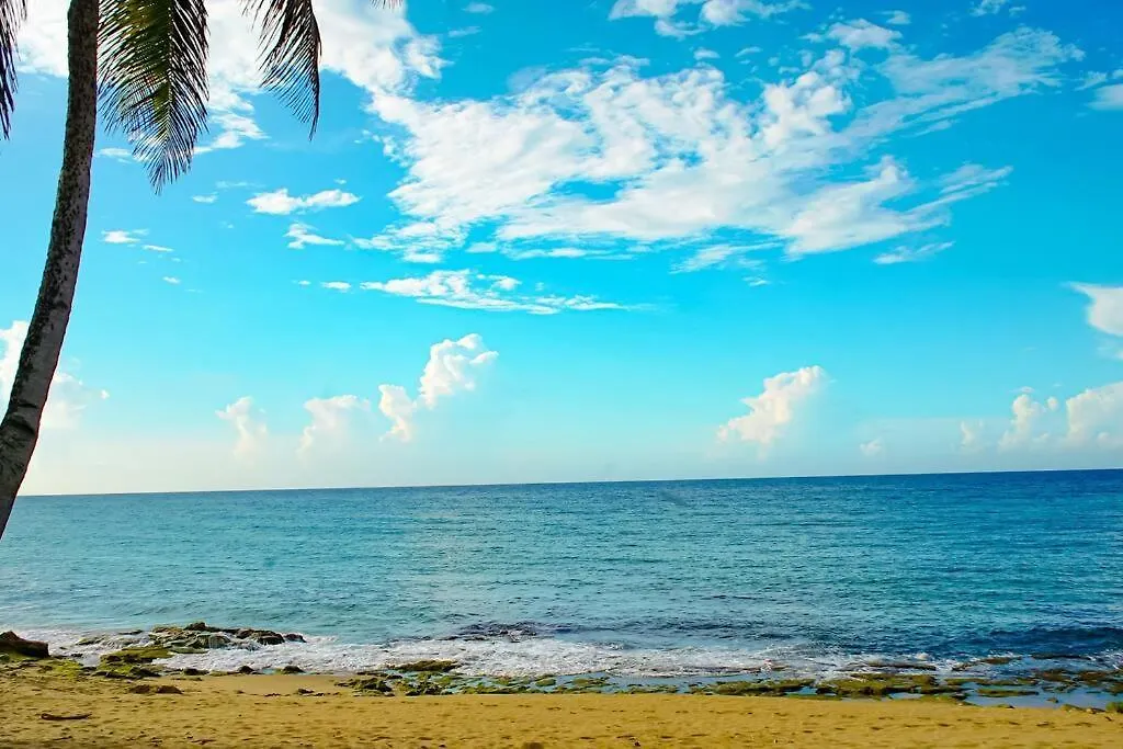 Sea View Wonder - Playa Jobos 1 Apartment Isabela