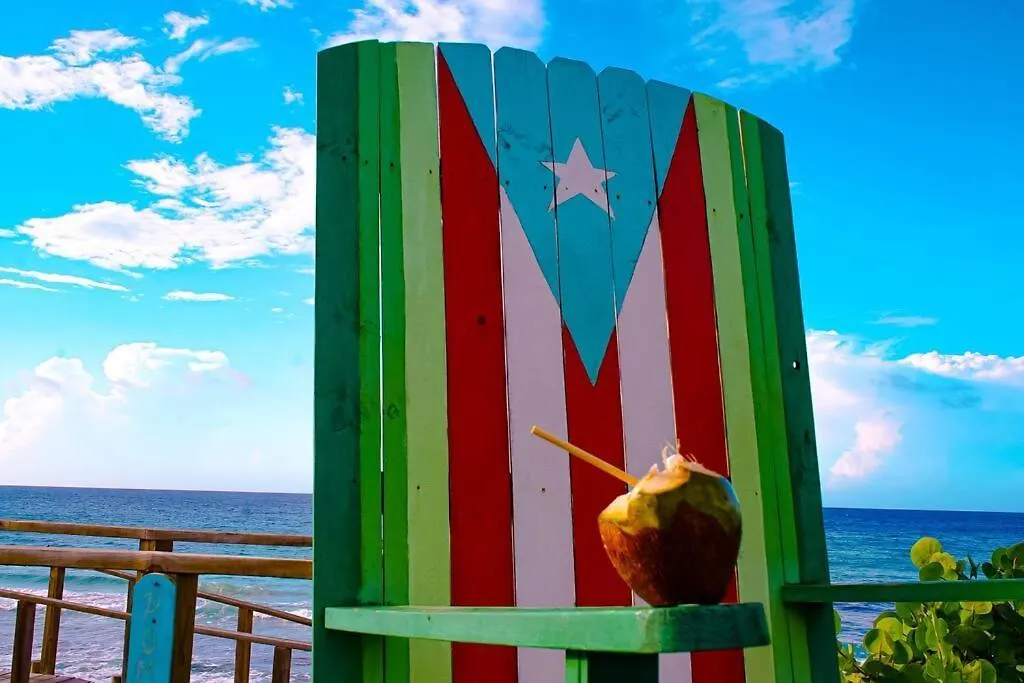 Sea View Wonder - Playa Jobos 1 location